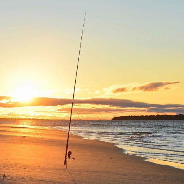 sunshinecoastoz's tweet photo. If you're looking for @rikerama she has gone fishing at Inskip Point #VisitSunshineCoast #thisisqueensland 🎣🌅 https://t.co/uFJUOwQkJz