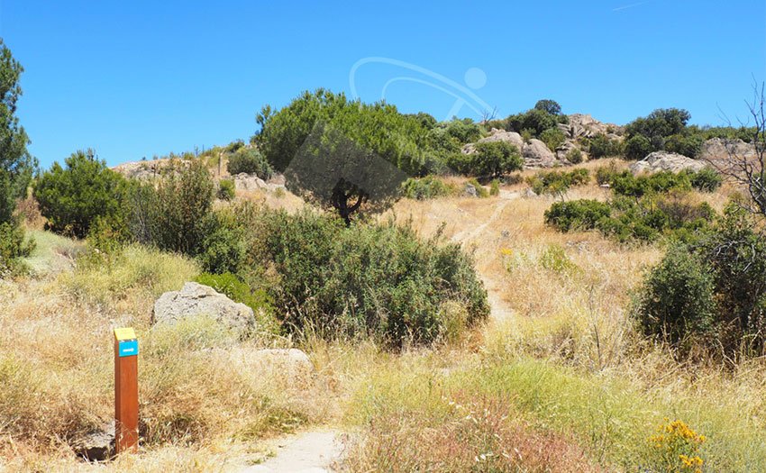 Nueva senda medioambiental en Torrelodones ow.ly/7LDW301H9aE