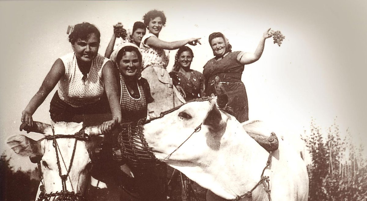 The #Castellani family have been making wine in Tuscany for over 100 years ow.ly/5M6n301Gh62 #Italy