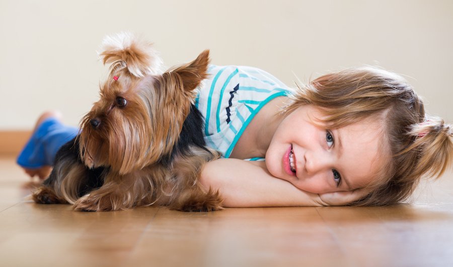 Here's why #OakFlooring is perfectly suitable in a home containing #children or #pets:

bit.ly/OFOChildrenPets