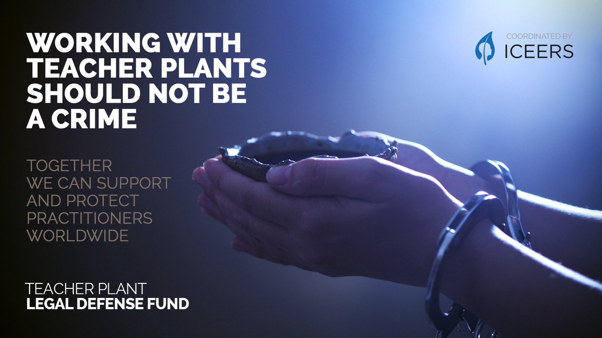 DefendAyahuasca's tweet photo. Plant medicines can help people. Please share our link.
#SupportDontPunish
#ayahuasca
https://t.co/VlyrT8qMI4 https://t.co/Vw4eXzscrY