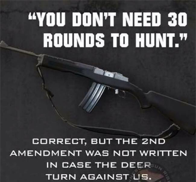 fancygap1's tweet photo. Molon Labe! #terroristcontrol NOT #guncontrol @BillPeriman @blove65 @TeamTrumpNC @Pudingtane @@luvGodncountry https://t.co/nuCzNrCKSk
