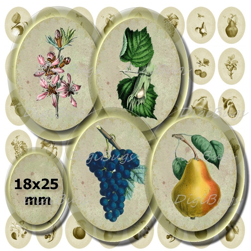 CraftyBugs7's tweet photo. Printable Vintage Fruit Images - Digital Collage Sheet 18 x 25 mm… https://t.co/bTmTpSmA8l #DigiBugs #PrintableFruit https://t.co/3ETp9zPbt9