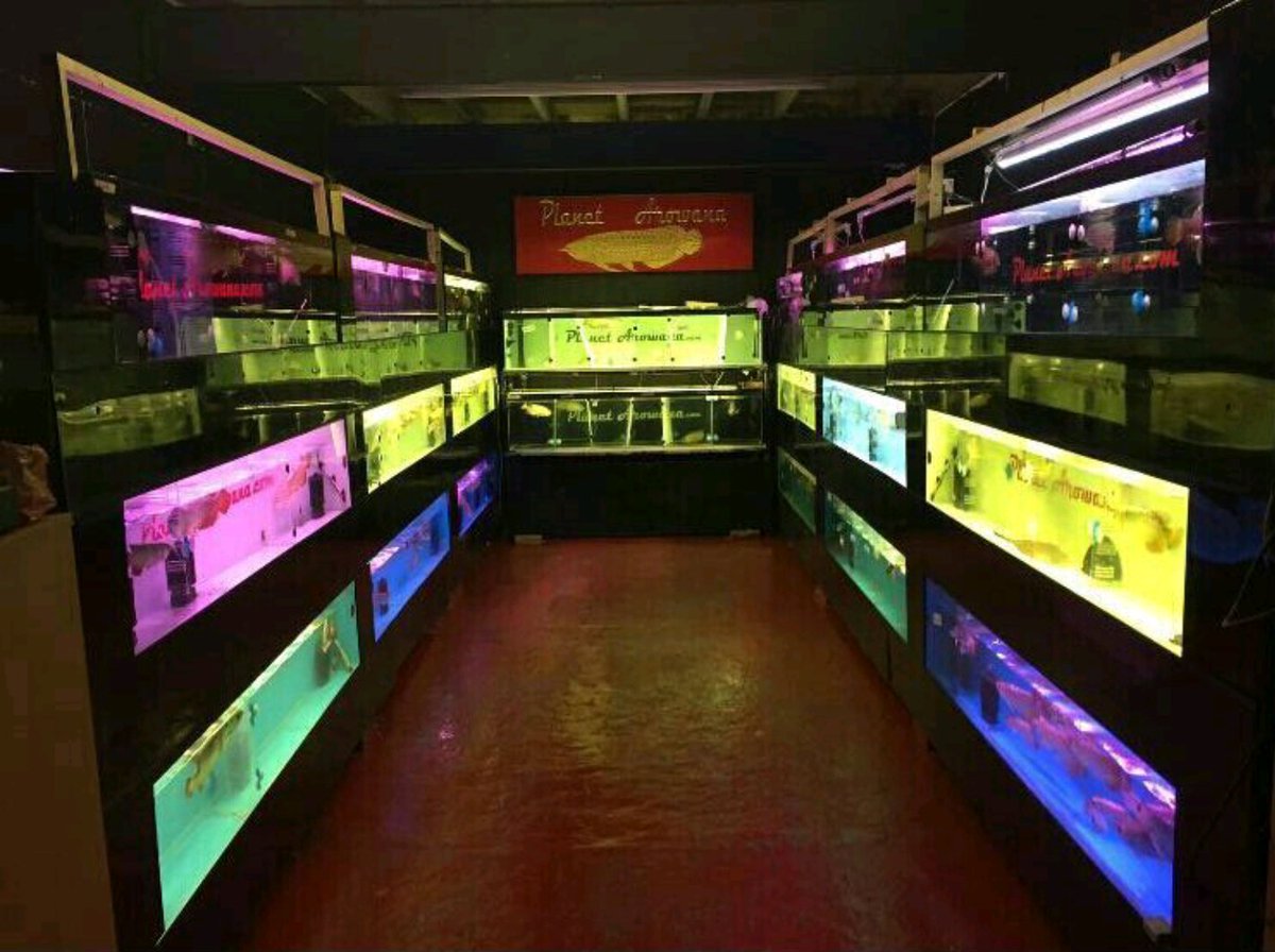 planetarowana's tweet image. Our showroom @planetarowana