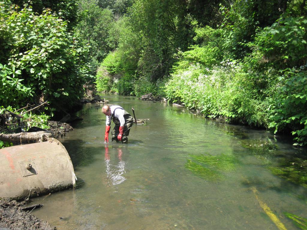 Nature Returns to the River Stour transitionstourbridge.co.uk/2016/06/28/nat…