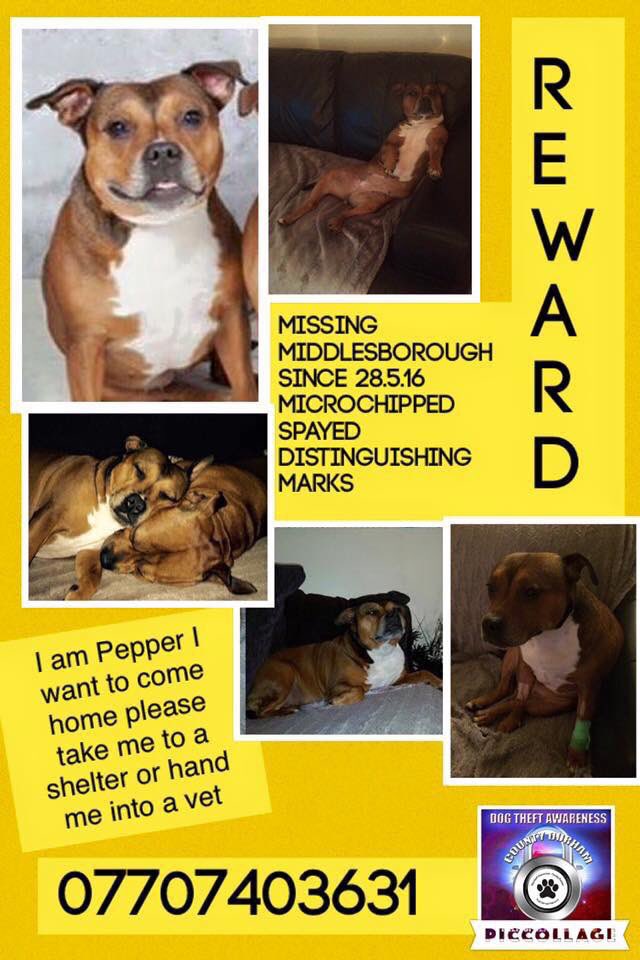 pigdog57's tweet photo. #Middlesborough #missingstaff https://t.co/pz9AIbjWVI
