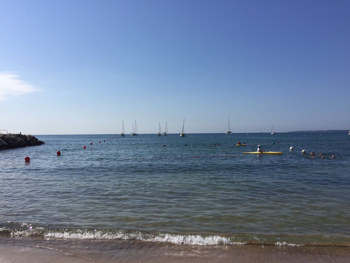 CM1 CM2 Langevin1 tweet media