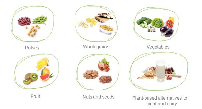 Alpro's tweet photo. #plantbased foods provide a wide range of nutrients that contribute to positive health and wellbeing https://t.co/1B8ZVuT0uA