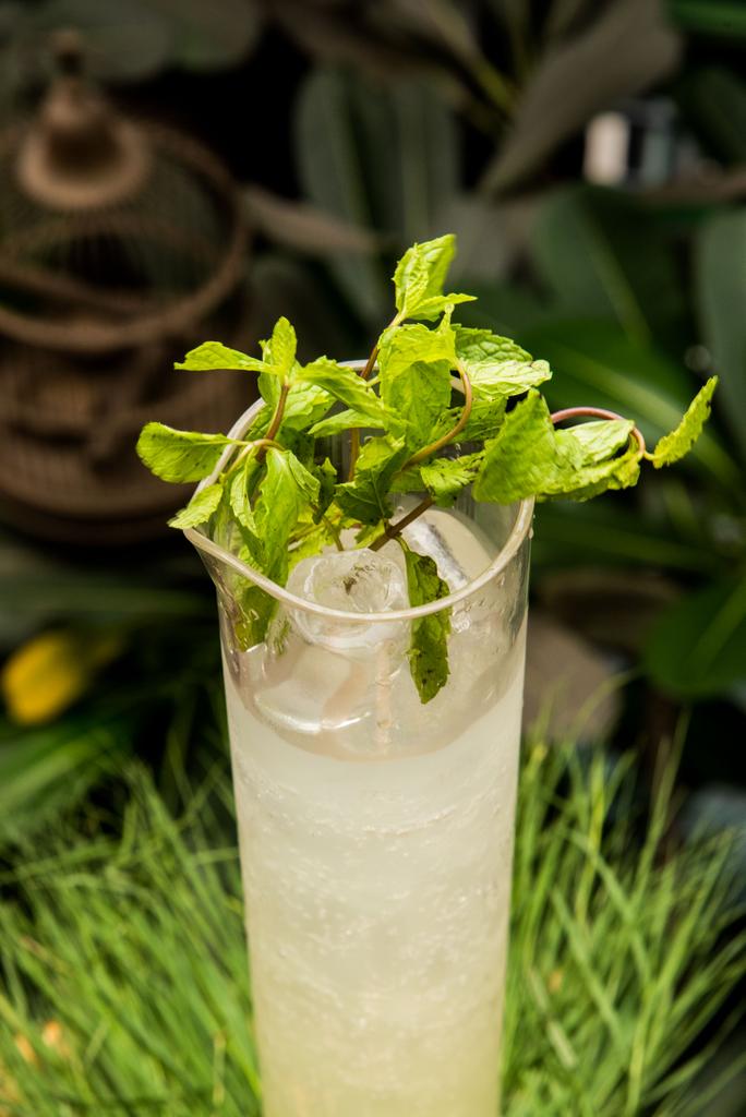SocialOffline's tweet photo. The High Garden. 

Absinthe + Vodka + Gin +Tequila +Rum 

#LongDrinkFestival #LLIIT #NowServing https://t.co/e1SvlmeUwi