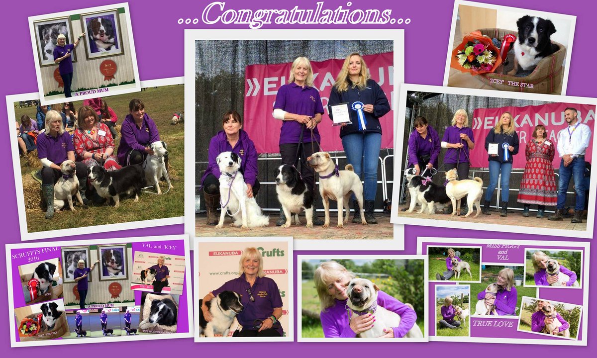Dogs Today Beverley Cuddy at Dog Fest  presented  me with a  Hero Award for Rescue work. Thank you so much.x