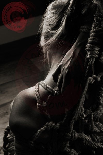 WykD_Dave's tweet photo. Sapphire in #teppou #shibari #kinbaku #bondage #ropebondage #hairbondage #kimono https://t.co/afPX4xywrk https://t.co/QUzABSx0xN