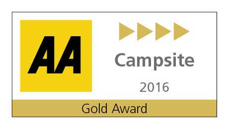 WitchesCraig tweet media