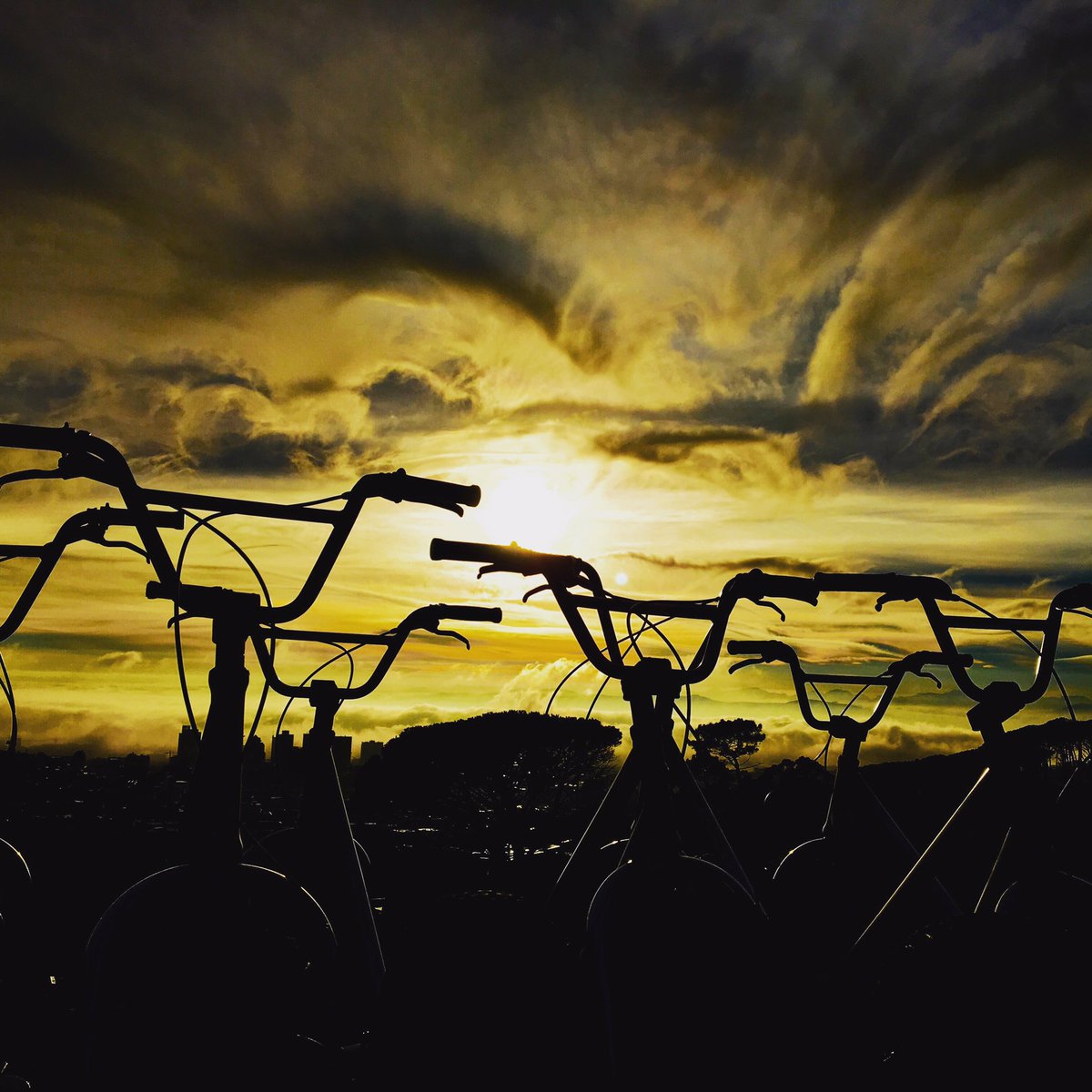 Ready for a new day #lovecapetown