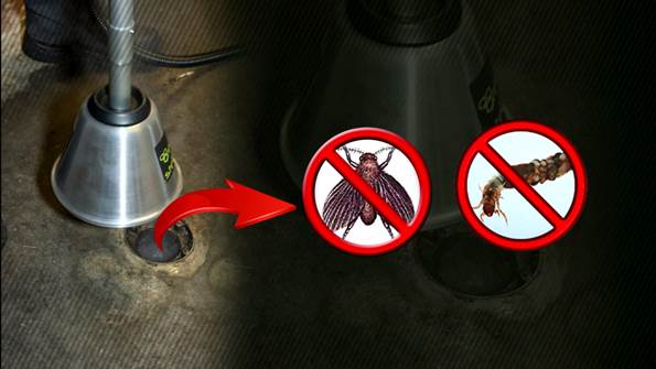 howrid_com's tweet photo. How to Get Rid of Drain #Flies? - #howrid
https://t.co/6i0TuywRz2
#DrainFlies #FruitFlies https://t.co/hQGDgiRrW8