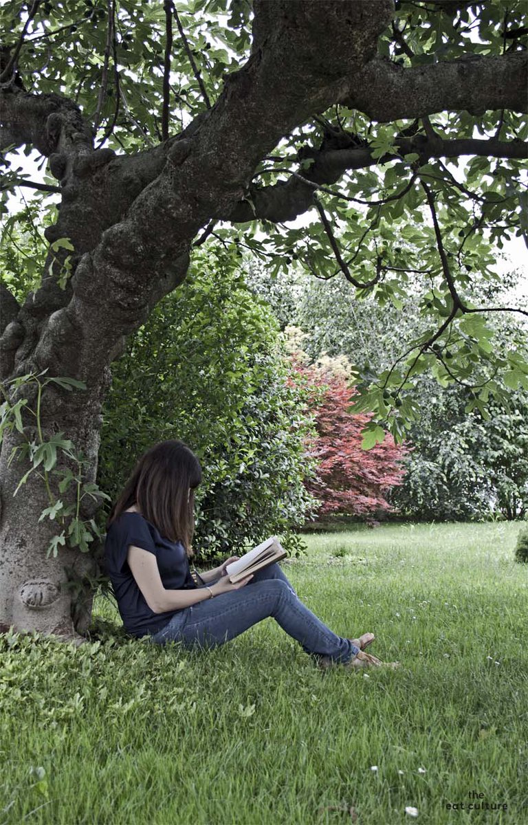 TheEatCulture's tweet photo. Il libro sul comodino di oggi è Il sogno dei tulipani. Lo trovate, come al solito, su
https://t.co/Hb86CZuQSS #libri https://t.co/9DvQyU524q