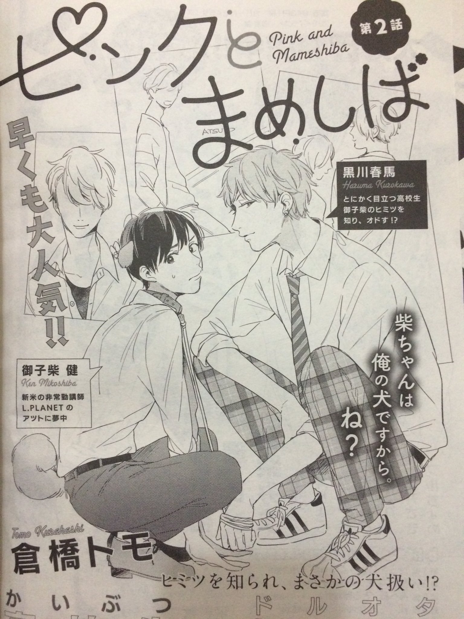 倉橋トモ先生 ピンクとまめしば 複製原画 直筆サイン ピンクとまめしば ｜ リブレ ｜ ビーボーイコミックスデラックス