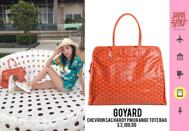 Goyard Sac Hardy PM Bag