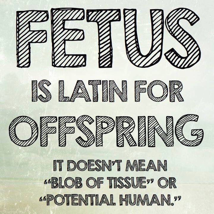 FrShott's tweet image. #prolife #Catholic #AbortionRights #NeverHillary #RenewUS #ProLife #DefundPP