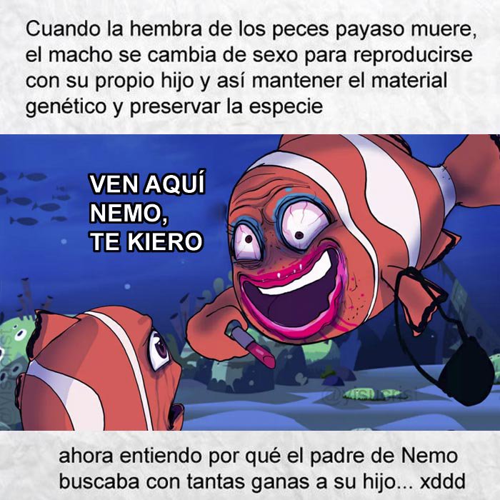 jezucrihto xd tweet media