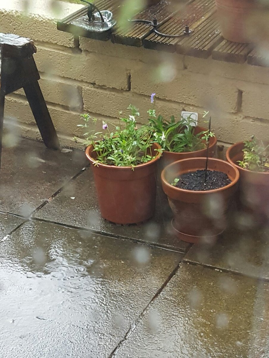 We want our summer back...

...it's time we took back control of the weather...