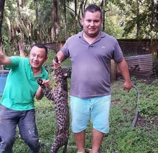 Solicito a <a href="/CORMACARENA/">Cormacarena</a> se de aclaración o judicialización a cazadores de nuestra fauna nativa. Favor RT