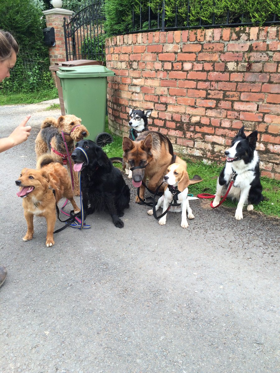 ActiveAnimals tweet picture