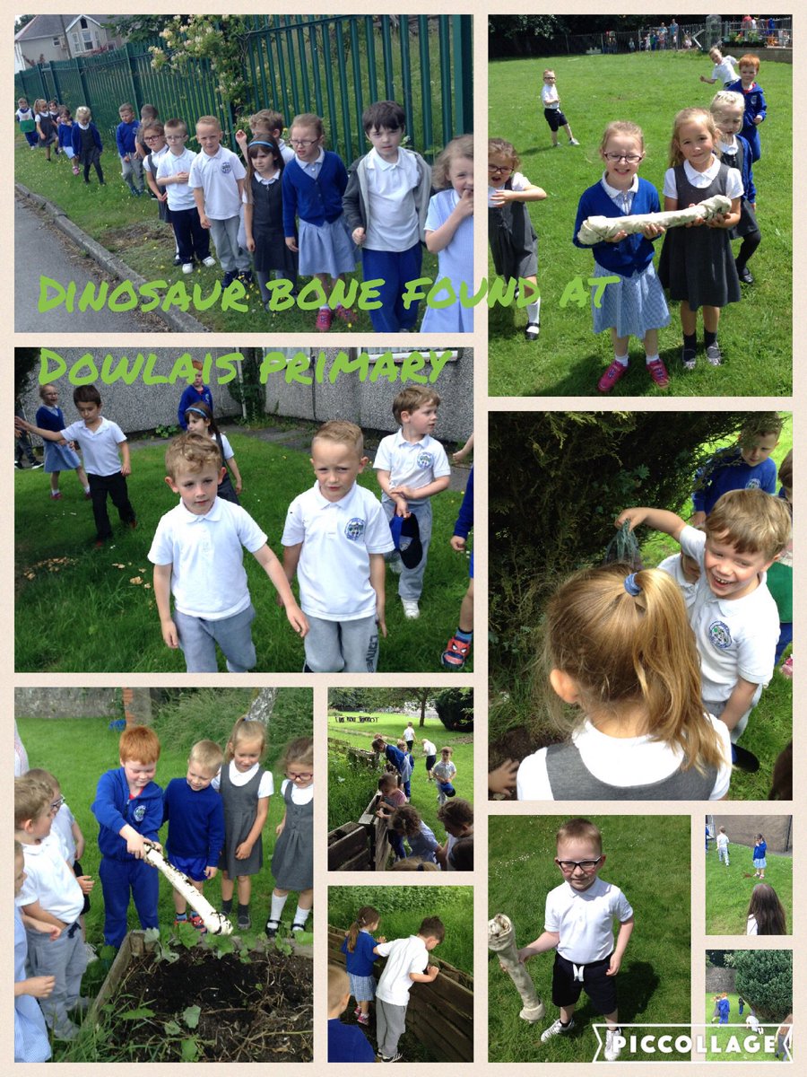 ReceptionDow's tweet photo. BREAKING NEWS- Reception have found a dinosaur bone! #dinosaurbone #aretheyreallyextinct? https://t.co/8gUjgy2wXf