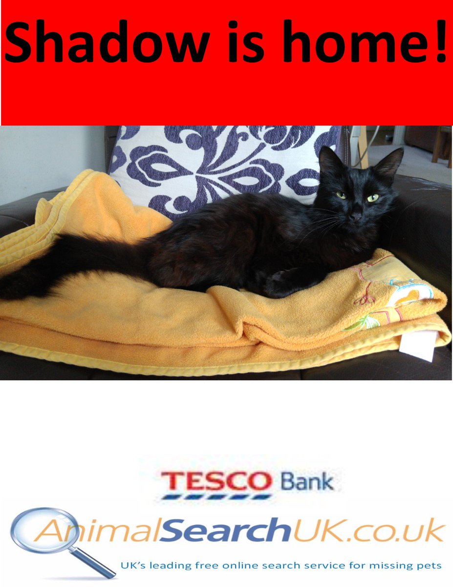 AnimalSearchUK's tweet photo. GOOD NEWS #missingcat #westsussex #shaow #REUNITED thanks to @AnimalSearchUK & @Tesco pet insurance #happyending https://t.co/sh60Zuc7UH