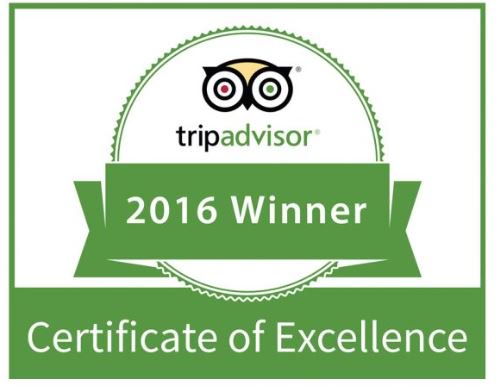 SolBarbacan official tweet media