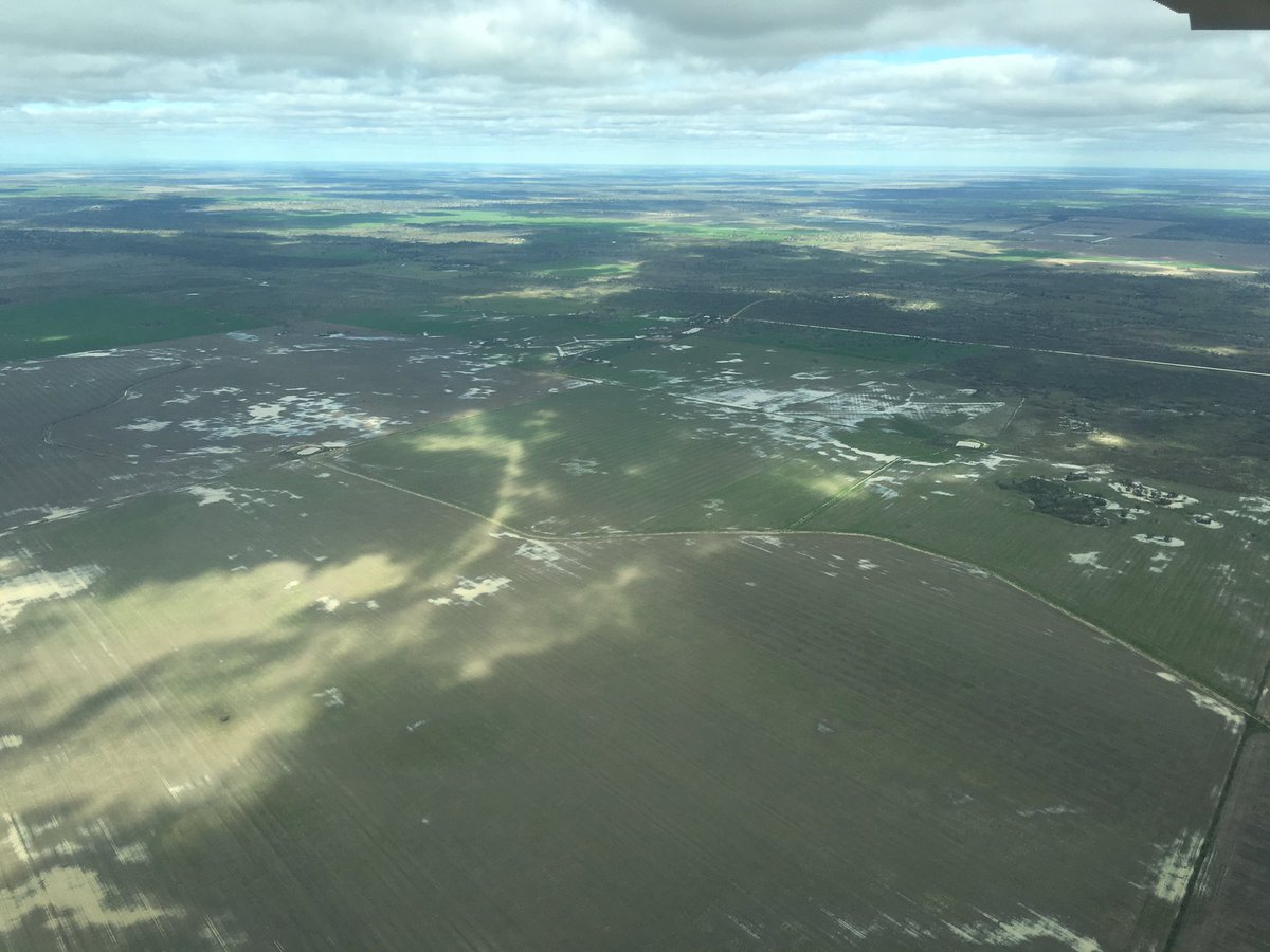 Any more rain and that might be all she wrote for #plant16 #hardtoplease