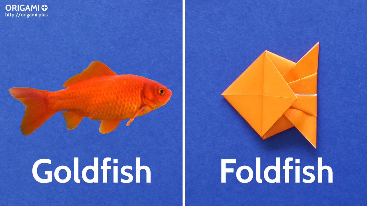 Today's English lesson. :-) #goldfish Very easy #origami #foldfish tutorial: youtu.be/46VUpyQHBoU