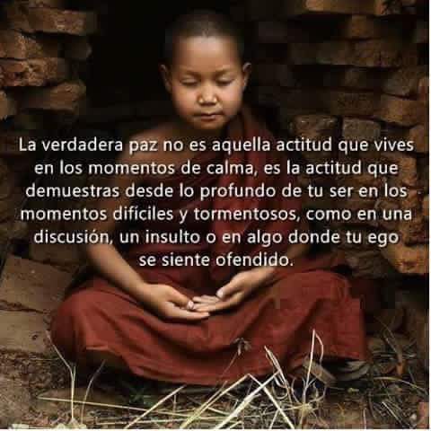 mary_aymat's tweet photo. Buen día ! Reflexión ! #paz interior https://t.co/5ycrNvdCeI