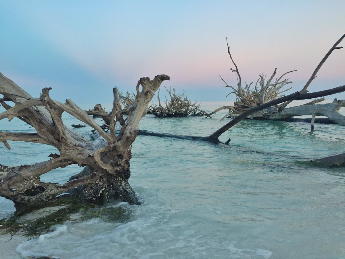 JeremiahKhokhar's tweet photo. Dawn- am office digs at @enjoyLongboat #cleargram #lovefl @VISITFLORIDA @ShareALittleSun https://t.co/OXDbPRLVaa