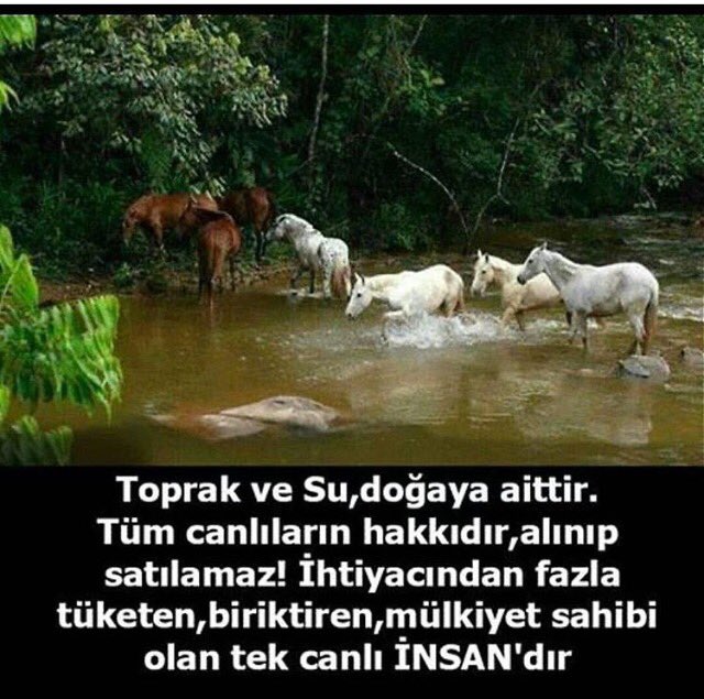 Şevval Sam (@sevvalsam) on Twitter photo 