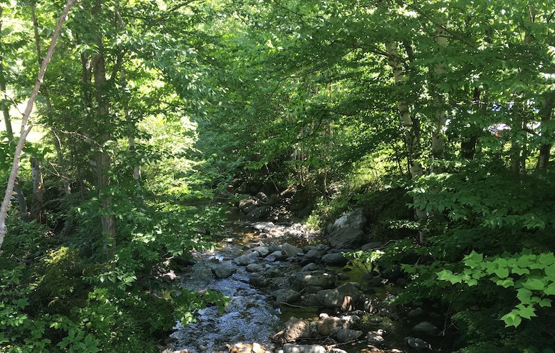 thisrealmom's tweet photo. Back from #vermont, let #summer begin! https://t.co/JczXZEUF1J #familytravel #summerfun #summervacation #kids https://t.co/BbjyVY6pIp