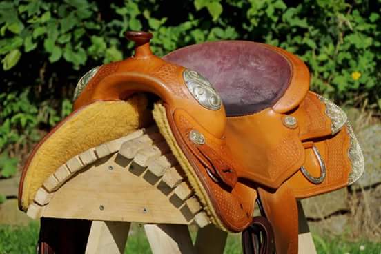 srayes75's tweet photo. For sale!
Reiningsaddle, Semi-Quarter.
For more Information:
Denis Herrnann +49 173 9199682
https://t.co/1DQDHyaE2u https://t.co/Uooc1Ie4ip