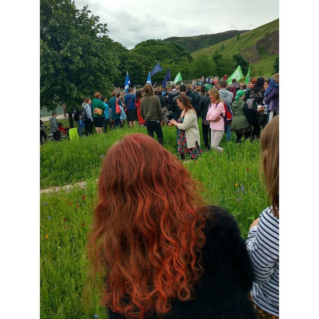 Seonaid ♿️ 🧶🇪🇺🏴 tweet media