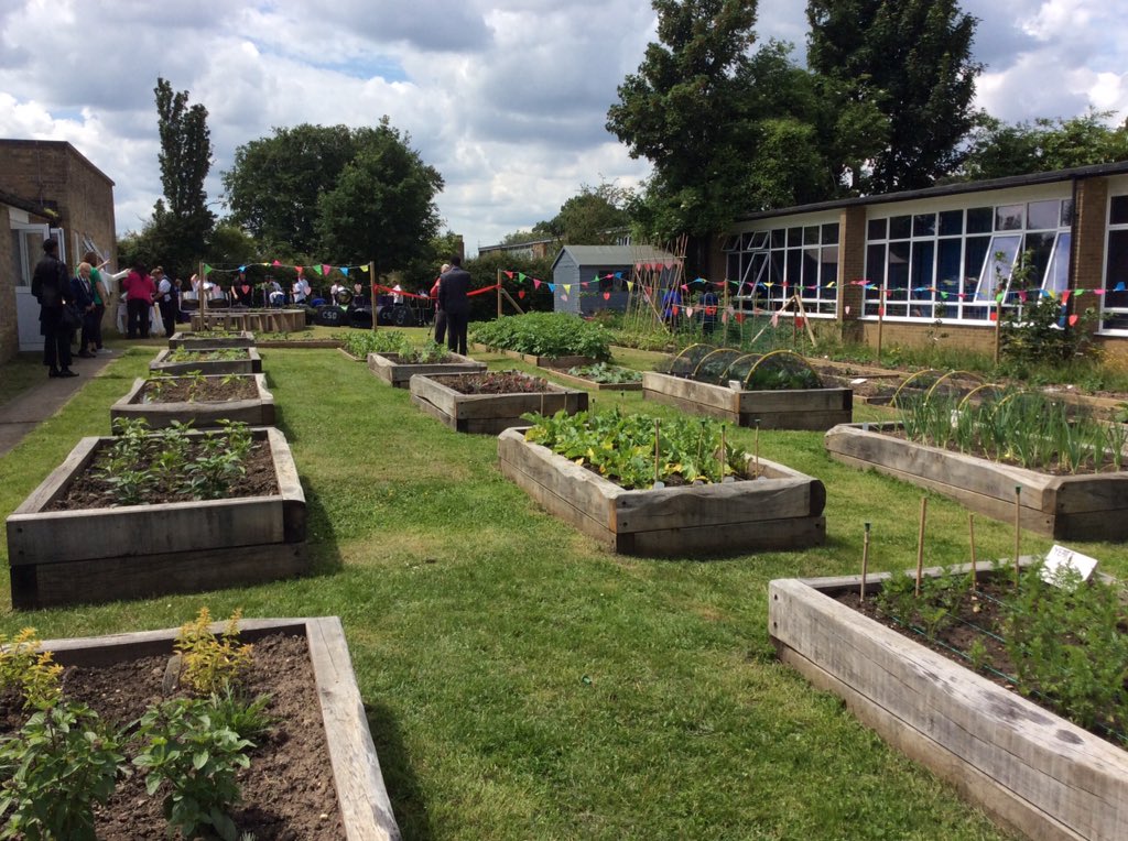 Getting ready to launch #edible playgrounds at Meridian High and Fairchildes Primary #croydon today