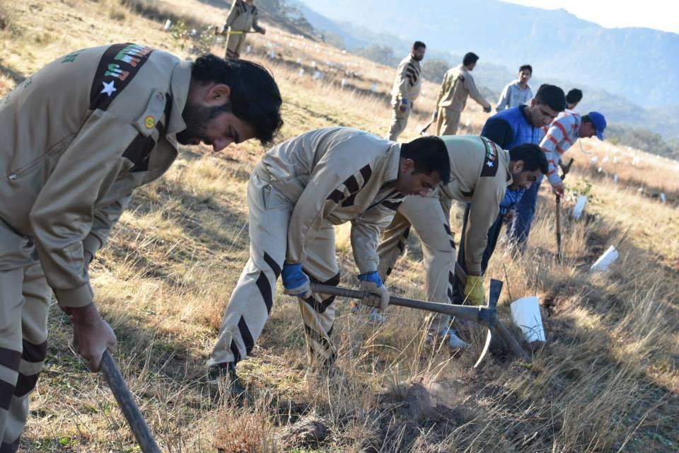 ksushma140's tweet photo. Naw a day youngsters are forefront to serve selflessly bcoz of GREAT!! impact f valuable teaching of #MSGforHumanity https://t.co/CPW1BAL2aw