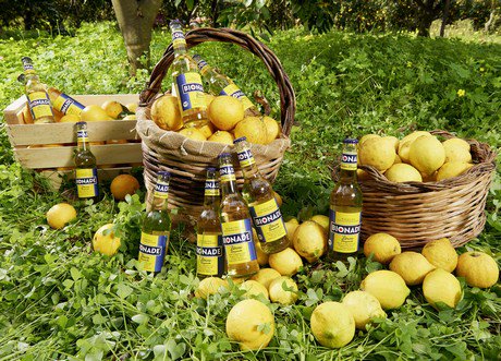 Biojournaal's tweet photo. Nieuw: Bionade Citroen Bergamot @2FoodNL
https://t.co/fy6baMnJI5 https://t.co/VLU4E2uk4V