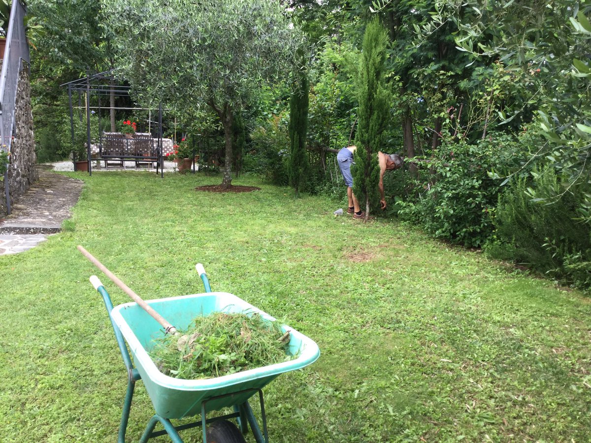 aandlc53's tweet photo. Weather great for a bit of gardening https://t.co/jtCfCbhnR6