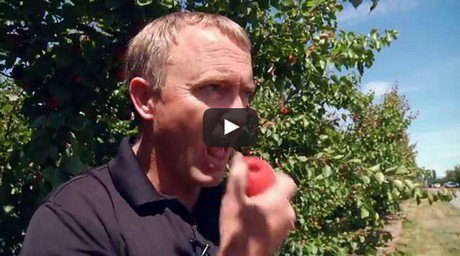 FreshPlaza tweet media