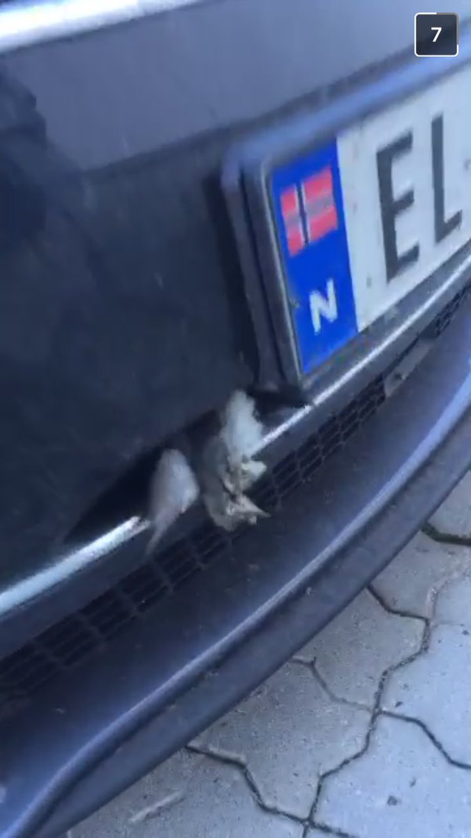 lisakarlssonn's tweet photo. Du har en fågel https://t.co/qbteG5VUik