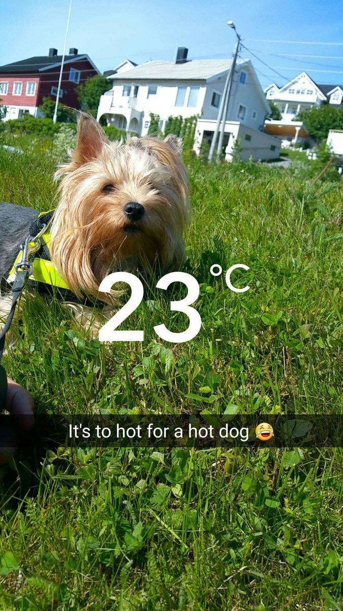 Nathenix's tweet photo. 🌞🌞🌞🌞🌞🌞🌞🌞🌞 https://t.co/V8gPxt2DDH