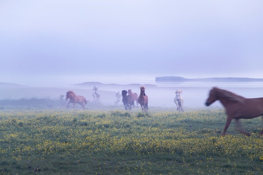 Islande, pays du foot (mais pas que) : goo.gl/qHdkX1