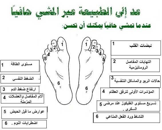 tebbdo's tweet image. تعرف على فوائد المشي حافيا

 #مشهور_يقربلك_او_تعرفه_شخصيا