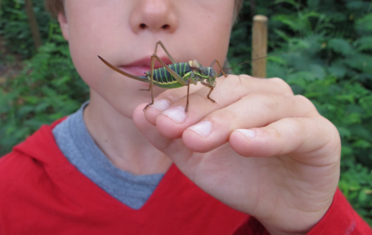 f_lasserre's tweet image. A signé ! Appel pour les 4ème assises de l&apos;#éducation à l&apos;#environnement. A vous : appel-4e-assises-eedd.org #EEDD