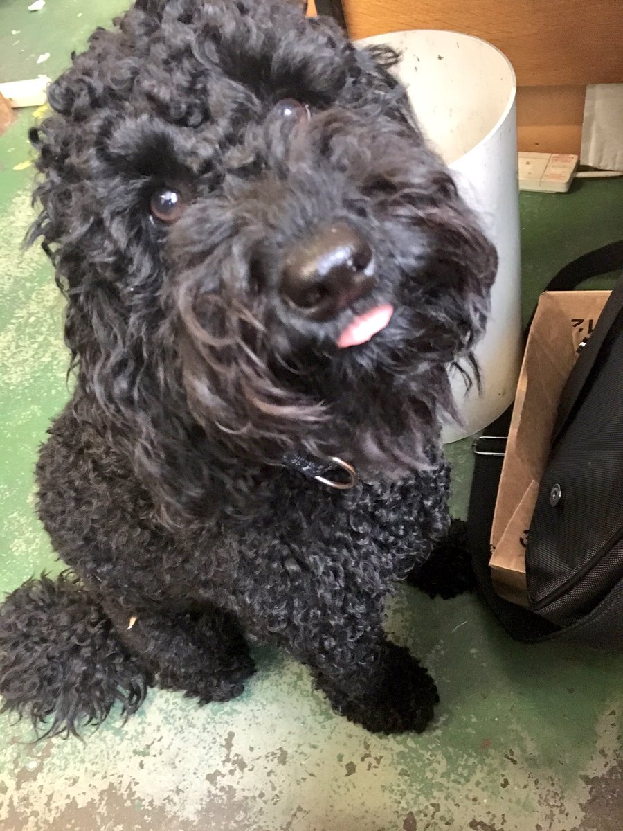 neilgiller's tweet image. Sidders and @neilgiller chatting mailings, envelopes and discount postage @CentralDirect 🐾🐾🐾