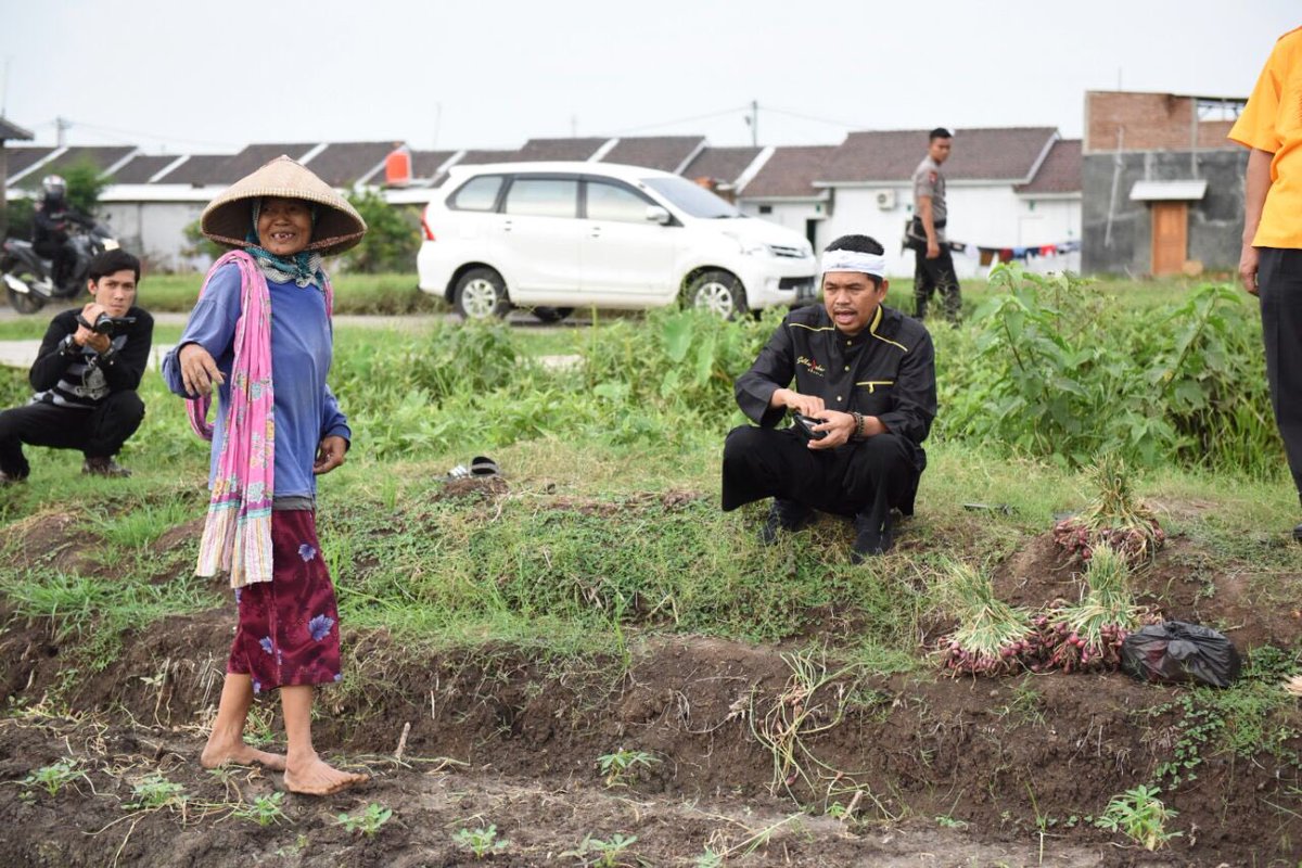 DediMulyadi71's tweet photo. harga bawang mahalnya selangit hanya dinikmati bau bawangnya saja o/ petani, keuntungannya dinikmati o/ entah siapa https://t.co/MKVwEv5Whf