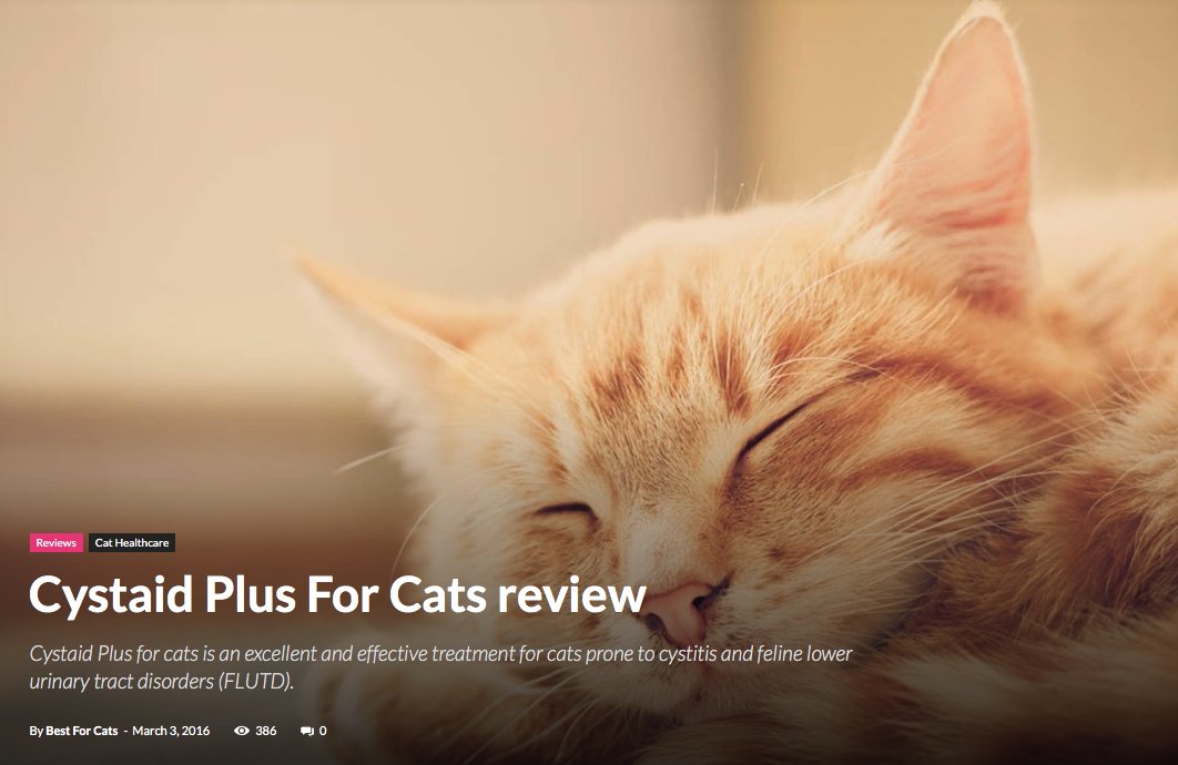 cystaid plus capsules for cats